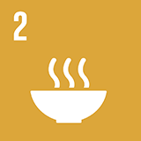 Icon SDG 2