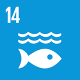 Icon SDG 14